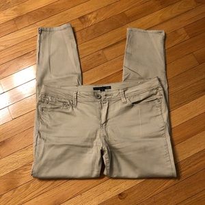YMI Khaki pant